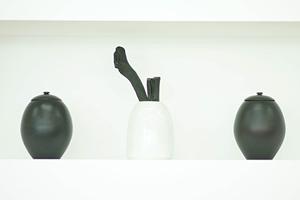 【埼玉県・さいたま市のタカラスタンダードショールーム】最新キッチン・バスルームの展示と予約情報