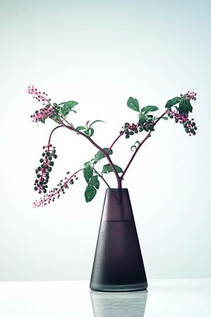 東京都新宿区にあるタカラスタンダード新宿ショールームの魅力と詳細情報