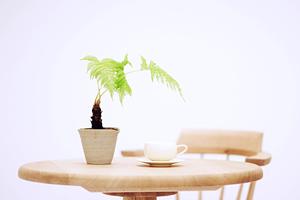 施工認定された浜松のトイレリフォーム