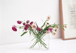 リバーシブルで二通り楽しめるマットレス